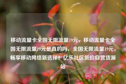 移动流量卡全国无限流量19元，移动流量卡全国无限流量19元是真的吗	，全国无限流量19元，畅享移动网络新选择！亿乐社区低价自营货源站  第1张