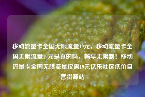 移动流量卡全国无限流量19元	，移动流量卡全国无限流量19元是真的吗，畅享无限制！移动流量卡全国无限流量仅需19元亿乐社区低价自营货源站  第1张