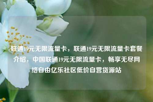 联通19元无限流量卡，联通19元无限流量卡套餐介绍，中国联通19元无限流量卡，畅享无尽网络自由亿乐社区低价自营货源站  第1张