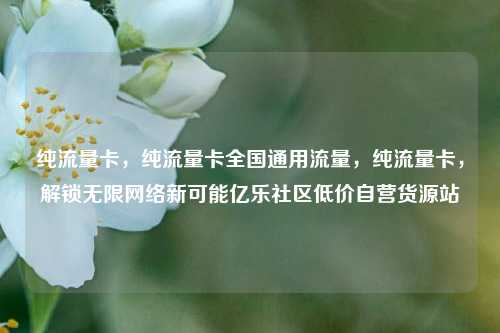 纯流量卡	，纯流量卡全国通用流量，纯流量卡，解锁无限网络新可能亿乐社区低价自营货源站  第1张