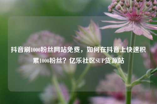 抖音刷1000粉丝网站免费，如何在抖音上快速积累1000粉丝？亿乐社区SUP货源站  第1张
