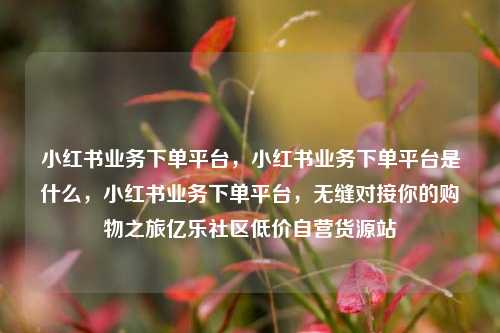 小红书业务下单平台	，小红书业务下单平台是什么，小红书业务下单平台，无缝对接你的购物之旅亿乐社区低价自营货源站  第1张