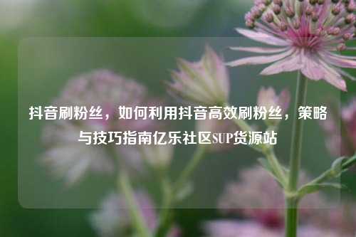 抖音刷粉丝，如何利用抖音高效刷粉丝	，策略与技巧指南亿乐社区SUP货源站  第1张