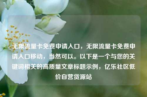 无限流量卡免费申请入口，无限流量卡免费申请入口移动，当然可以。以下是一个与您的关键词相关的高质量文章标题示例	，亿乐社区低价自营货源站  第1张