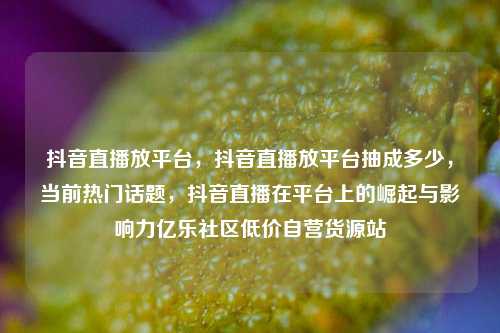 抖音直播放平台	，抖音直播放平台抽成多少，当前热门话题，抖音直播在平台上的崛起与影响力亿乐社区低价自营货源站  第1张