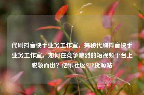 代刷抖音快手业务工作室	，揭秘代刷抖音快手业务工作室，如何在竞争激烈的短视频平台上脱颖而出？亿乐社区SUP货源站  第1张