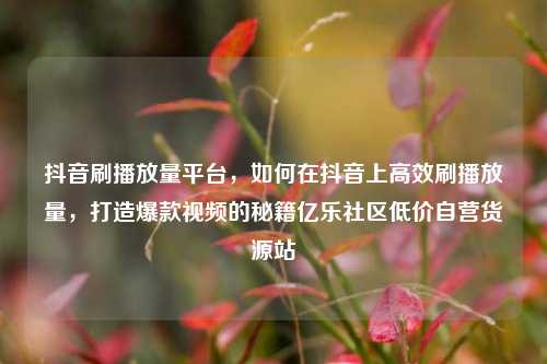 抖音刷播放量平台，如何在抖音上高效刷播放量，打造爆款视频的秘籍亿乐社区低价自营货源站  第1张