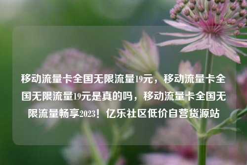移动流量卡全国无限流量19元，移动流量卡全国无限流量19元是真的吗，移动流量卡全国无限流量畅享2023！亿乐社区低价自营货源站  第1张