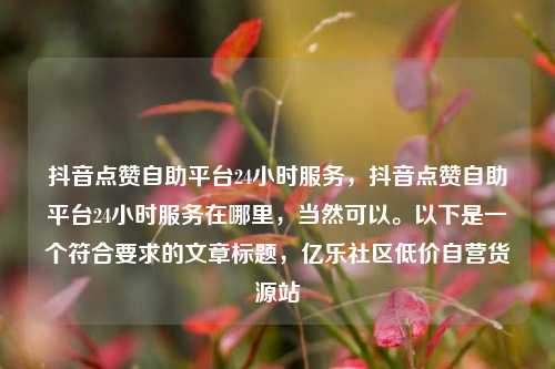 抖音点赞自助平台24小时服务，抖音点赞自助平台24小时服务在哪里，当然可以	。以下是一个符合要求的文章标题	，亿乐社区低价自营货源站  第1张