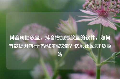 抖音刷播放量	，抖音增加播放量的软件，如何有效提升抖音作品的播放量？亿乐社区SUP货源站  第1张