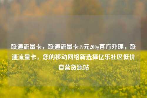 联通流量卡，联通流量卡19元200g官方办理，联通流量卡，您的移动网络新选择亿乐社区低价自营货源站  第1张