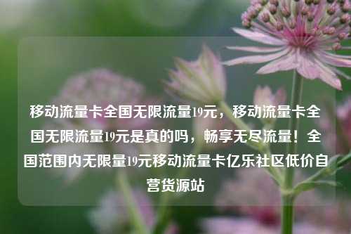 移动流量卡全国无限流量19元，移动流量卡全国无限流量19元是真的吗	，畅享无尽流量！全国范围内无限量19元移动流量卡亿乐社区低价自营货源站  第1张