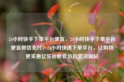 24小时快手下单平台便宜	，24小时快手下单平台便宜微信支付，24小时快速下单平台，让购物更实惠亿乐社区低价自营货源站  第1张