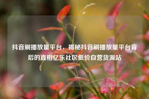 抖音刷播放量平台，揭秘抖音刷播放量平台背后的真相亿乐社区低价自营货源站  第1张
