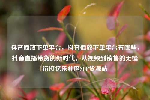 抖音播放下单平台，抖音播放下单平台有哪些	，抖音直播带货的新时代，从视频到销售的无缝衔接亿乐社区SUP货源站  第1张
