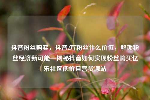 抖音粉丝购买，抖音2万粉丝什么价位	，解锁粉丝经济新可能—揭秘抖音如何实现粉丝购买亿乐社区低价自营货源站  第1张