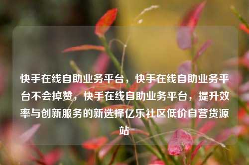 快手在线自助业务平台	，快手在线自助业务平台不会掉赞，快手在线自助业务平台，提升效率与创新服务的新选择亿乐社区低价自营货源站  第1张