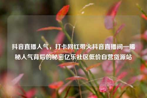 抖音直播人气	，打卡网红带火抖音直播间—揭秘人气背后的秘密亿乐社区低价自营货源站  第1张