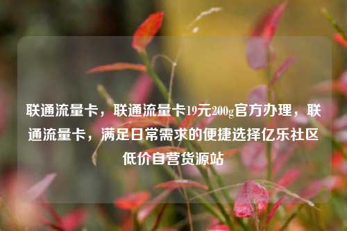联通流量卡	，联通流量卡19元200g官方办理，联通流量卡，满足日常需求的便捷选择亿乐社区低价自营货源站  第1张