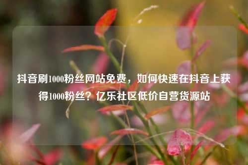 抖音刷1000粉丝网站免费，如何快速在抖音上获得1000粉丝？亿乐社区低价自营货源站  第1张