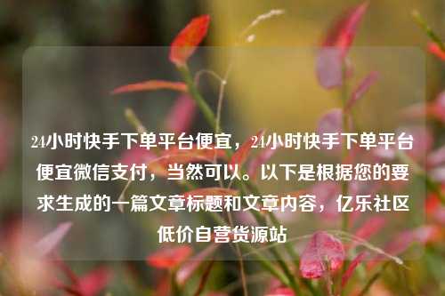 24小时快手下单平台便宜，24小时快手下单平台便宜微信支付，当然可以	。以下是根据您的要求生成的一篇文章标题和文章内容	，亿乐社区低价自营货源站  第1张