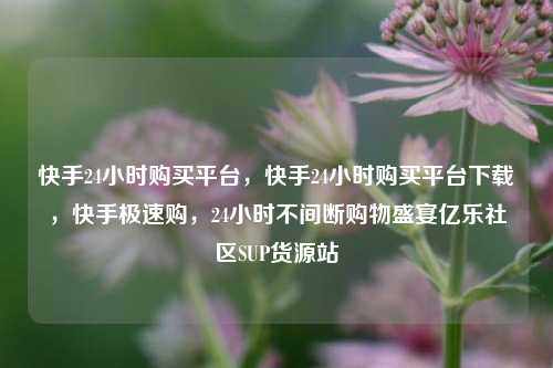 快手24小时购买平台，快手24小时购买平台下载	，快手极速购，24小时不间断购物盛宴亿乐社区SUP货源站  第1张