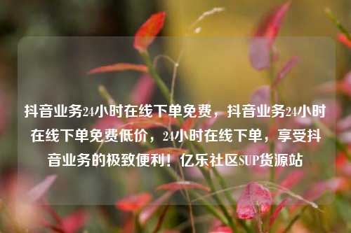 抖音业务24小时在线下单免费，抖音业务24小时在线下单免费低价	，24小时在线下单，享受抖音业务的极致便利！亿乐社区SUP货源站  第1张
