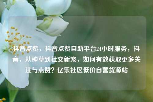 抖音点赞	，抖音点赞自助平台24小时服务，抖音，从种草到社交新宠	，如何有效获取更多关注与点赞？亿乐社区低价自营货源站  第1张