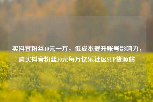 买抖音粉丝10元一万，低成本提升账号影响力，购买抖音粉丝10元每万亿乐社区SUP货源站  第1张