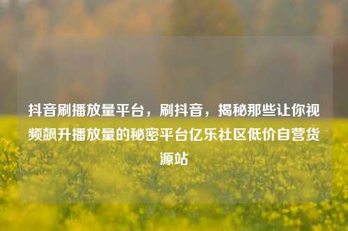 抖音刷播放量平台，刷抖音	，揭秘那些让你视频飙升播放量的秘密平台亿乐社区低价自营货源站  第1张