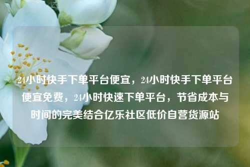 24小时快手下单平台便宜，24小时快手下单平台便宜免费，24小时快速下单平台	，节省成本与时间的完美结合亿乐社区低价自营货源站  第1张