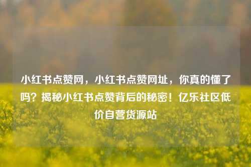 小红书点赞网	，小红书点赞网址，你真的懂了吗？揭秘小红书点赞背后的秘密！亿乐社区低价自营货源站  第1张