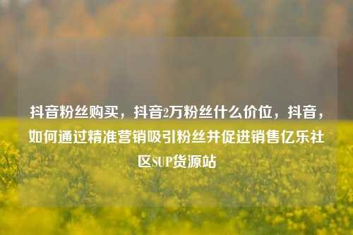 抖音粉丝购买	，抖音2万粉丝什么价位，抖音，如何通过精准营销吸引粉丝并促进销售亿乐社区SUP货源站  第1张