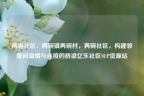 两碗社区，两碗镇两碗村，两碗社区，构建邻里间温情与连接的桥梁亿乐社区SUP货源站  第1张