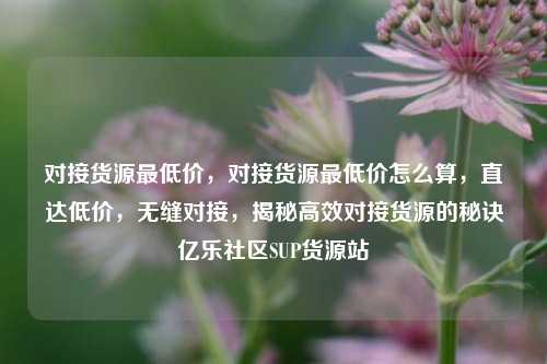 对接货源最低价，对接货源最低价怎么算，直达低价	，无缝对接，揭秘高效对接货源的秘诀亿乐社区SUP货源站  第1张
