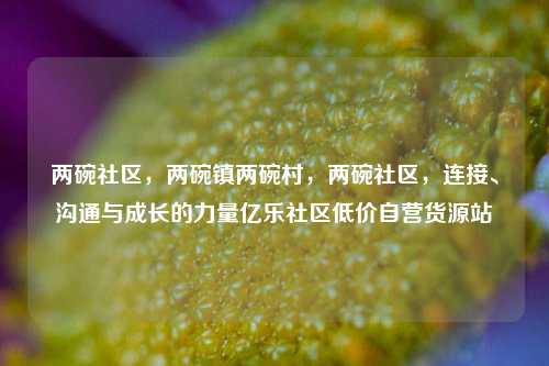 两碗社区，两碗镇两碗村	，两碗社区，连接、沟通与成长的力量亿乐社区低价自营货源站  第1张