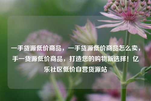 一手货源低价商品，一手货源低价商品怎么卖，手一货源低价商品	，打造您的购物新选择！亿乐社区低价自营货源站  第1张