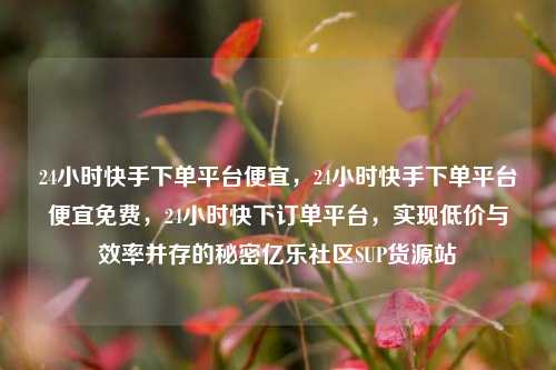 24小时快手下单平台便宜	，24小时快手下单平台便宜免费，24小时快下订单平台，实现低价与效率并存的秘密亿乐社区SUP货源站  第1张