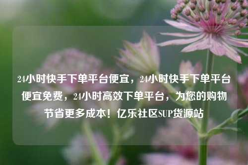 24小时快手下单平台便宜，24小时快手下单平台便宜免费，24小时高效下单平台，为您的购物节省更多成本！亿乐社区SUP货源站  第1张