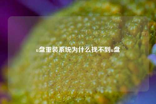 u盘重装系统为什么找不到u盘  第1张