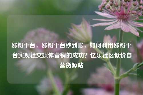 涨粉平台，涨粉平台秒到账，如何利用涨粉平台实现社交媒体营销的成功？亿乐社区低价自营货源站  第1张