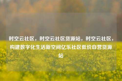 时空云社区，时空云社区货源站	，时空云社区，构建数字化生活新空间亿乐社区低价自营货源站  第1张