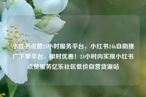 小红书点赞24小时服务平台，小红书24h自助推广下单平台，限时优惠！24小时内实现小红书点赞服务亿乐社区低价自营货源站  第1张