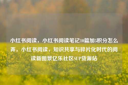 小红书阅读	，小红书阅读笔记10篇加5积分怎么弄，小红书阅读，知识共享与碎片化时代的阅读新图景亿乐社区SUP货源站  第1张