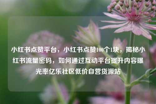 小红书点赞平台，小红书点赞100个1块	，揭秘小红书流量密码，如何通过互动平台提升内容曝光率亿乐社区低价自营货源站  第1张